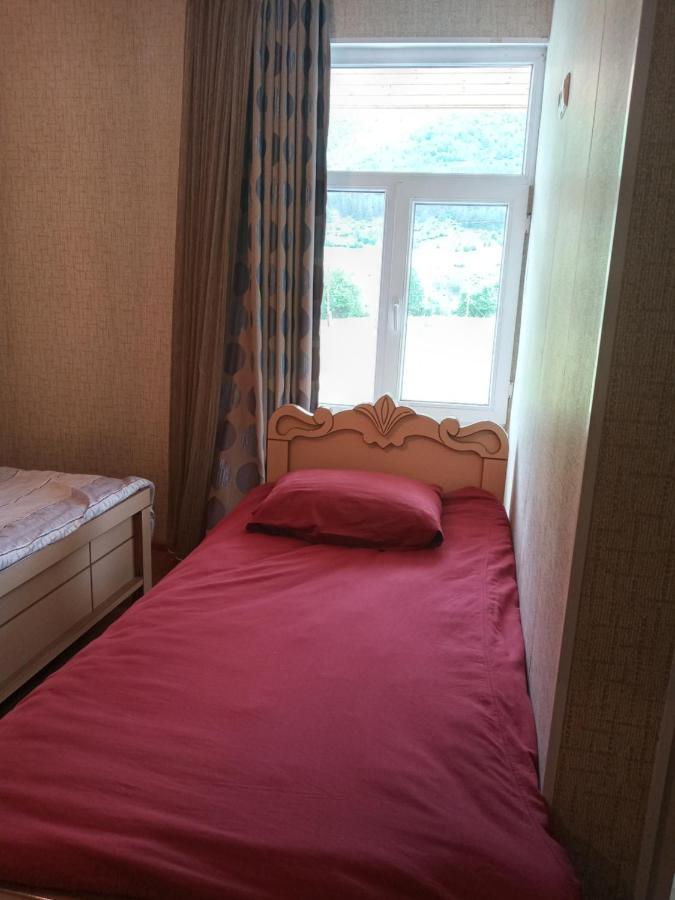 Guest House Tavaduri Mestia Exterior photo