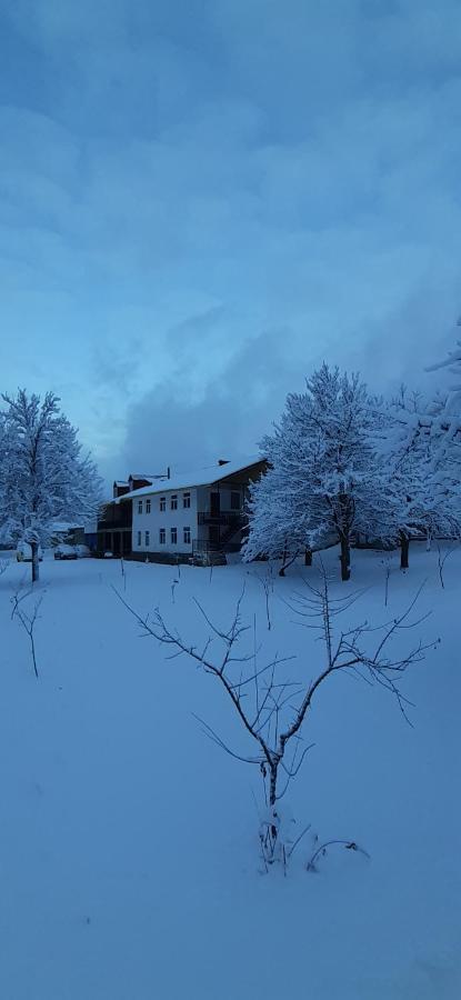 Guest House Tavaduri Mestia Exterior photo